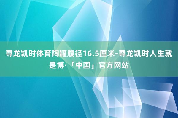 尊龙凯时体育陶罐腹径16.5厘米-尊龙凯时人生就是博·「中国」官方网站