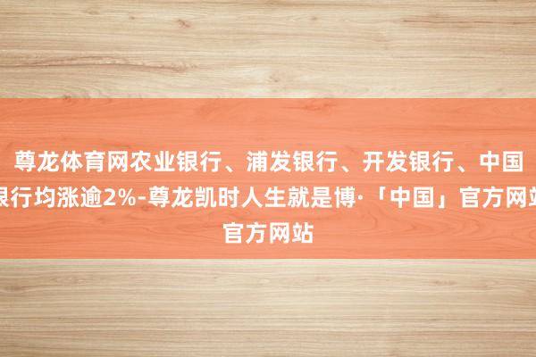 尊龙体育网农业银行、浦发银行、开发银行、中国银行均涨逾2%-尊龙凯时人生就是博·「中国」官方网站