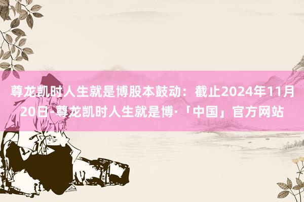尊龙凯时人生就是博股本鼓动：截止2024年11月20日-尊龙凯时人生就是博·「中国」官方网站